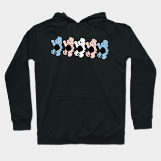 Transgender Bears Hoodie